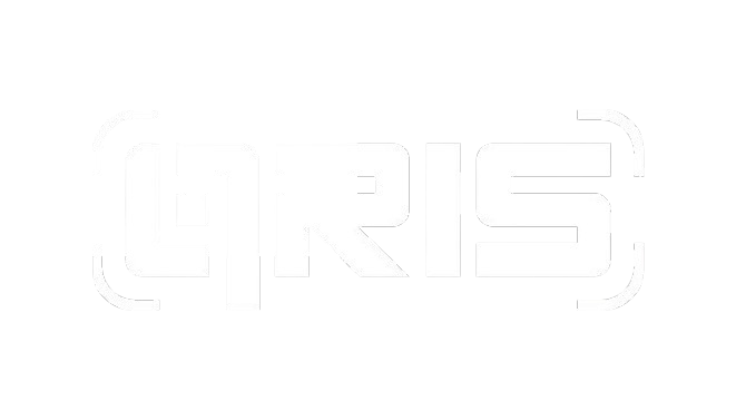  qris